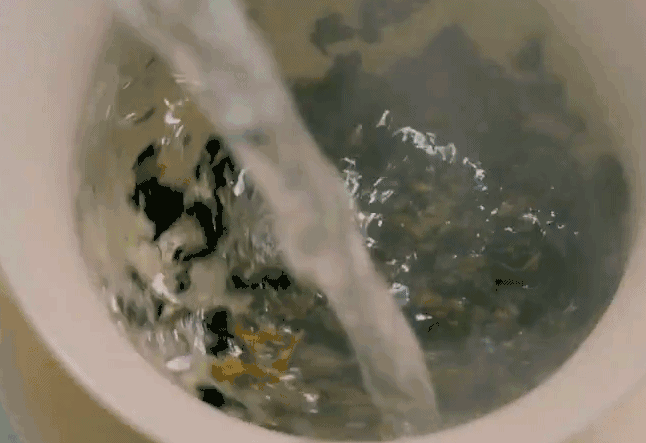 通过摇青和晾青的不断交替,实现叶杆部水分和果胶进入叶脉组织的过程
